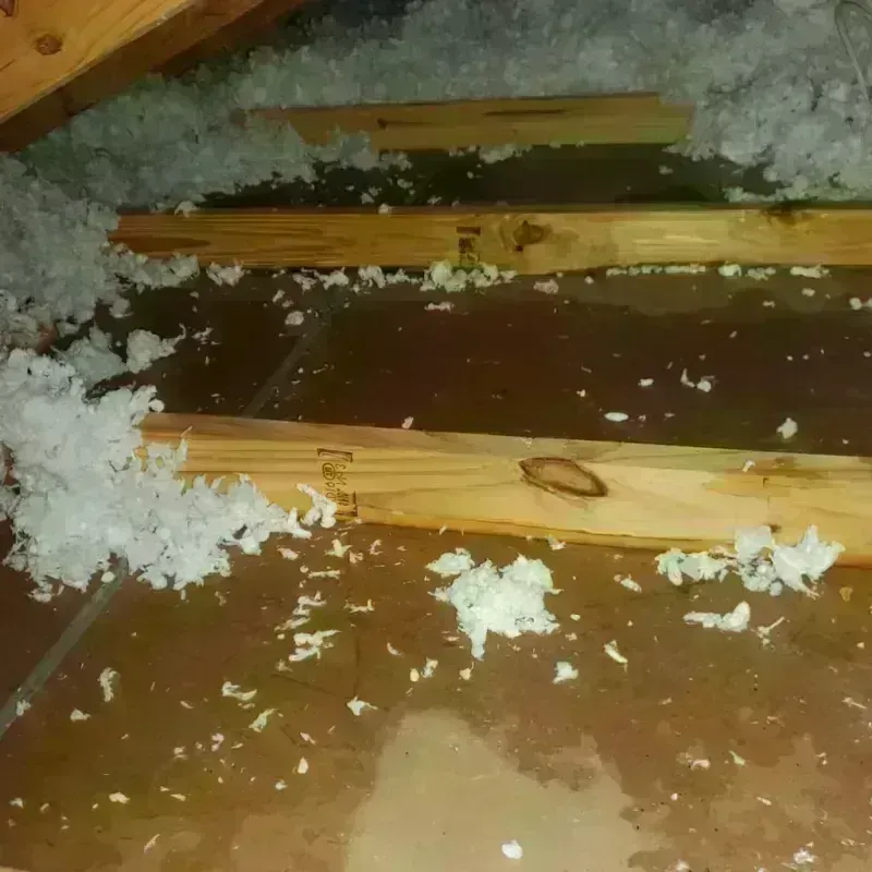 Attic Water Damage in Tyrrell County, NC